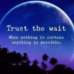 Trust the wait. When nothing is certain anything is possible.