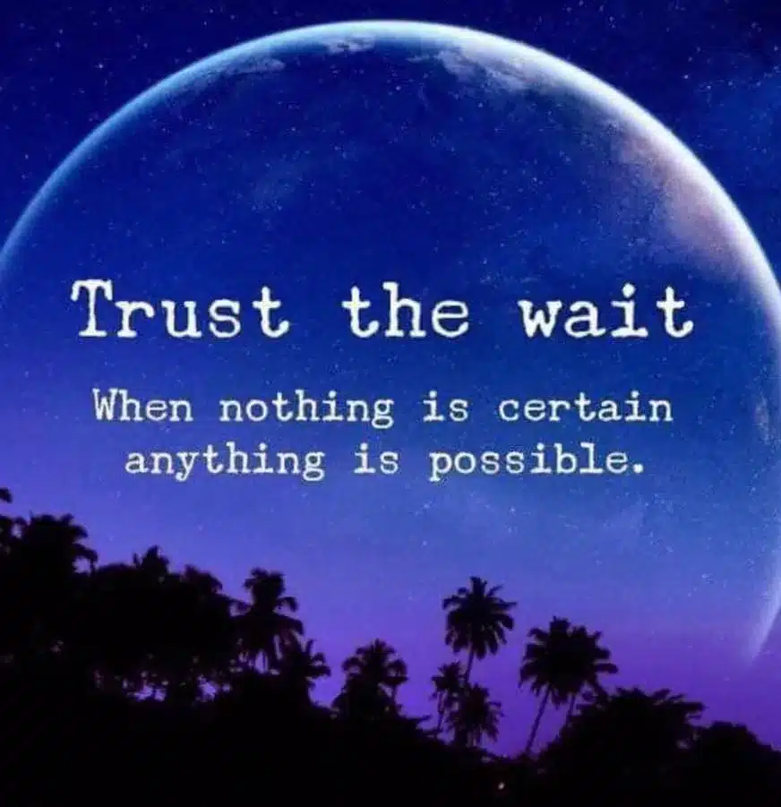 Trust the wait. When nothing is certain anything is possible.