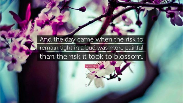 And the day came when the risk to remain tight in a bud was more painful than the risk it took to blossom.