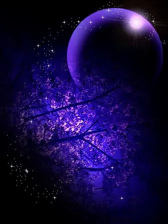 The Gifts of a New Moon Phase