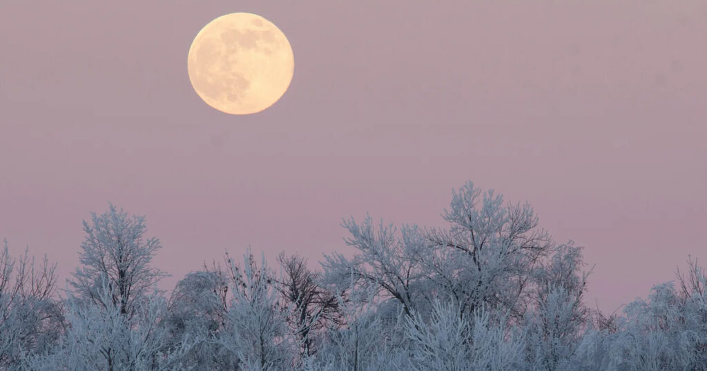 My Love Affair with the Moon