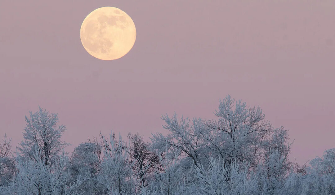 My Love Affair with the Moon