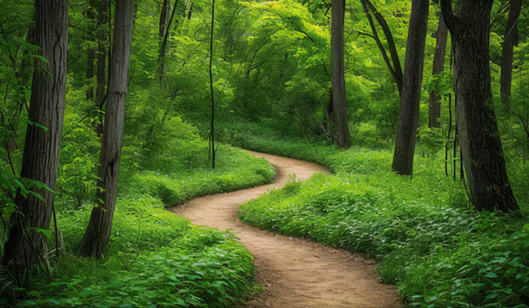 Venturing Down the Path Not Taken