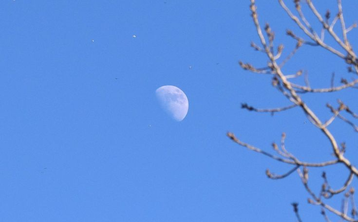 Venturing Down the Path Not Taken