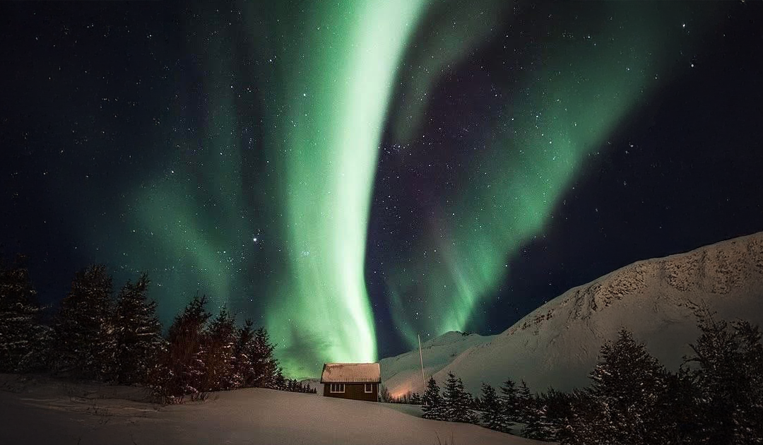 Are You Showing Up for the Wonders in Your Life?