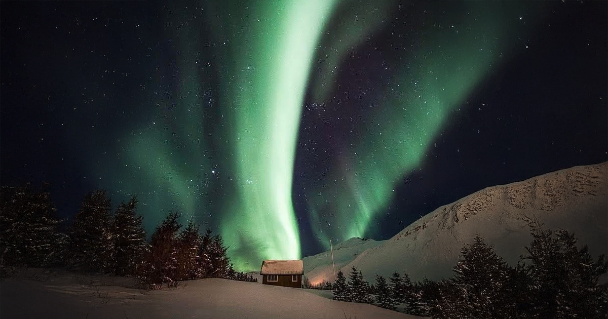 Are You Showing Up for the Wonders in Your Life?